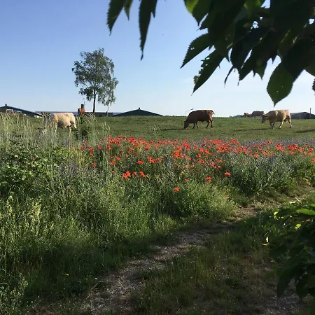 Zum Schwalbennest