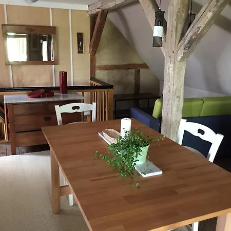 Zum Schwalbennest شقة