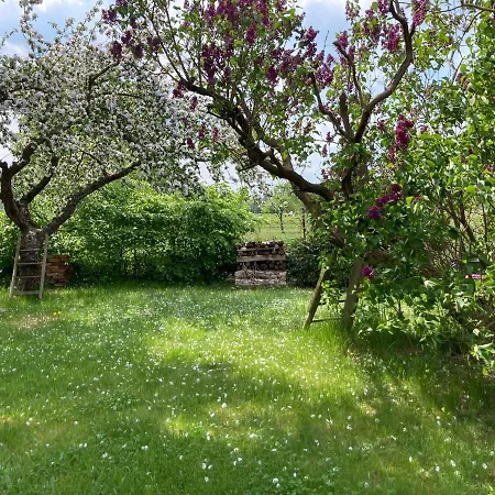 Apartment Zum Schwalbennest *
